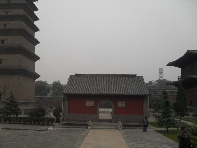 SDC18495 (640x480).jpg